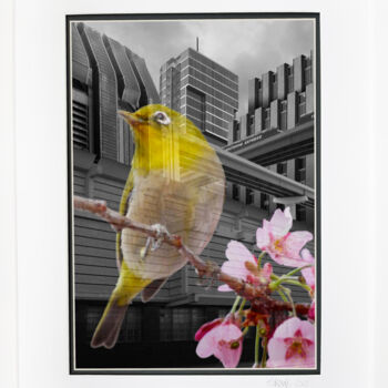 Photography titled "The Best Things in…" by Tina Lane, Original Artwork, Manipulated Photography Mounted on Cardboard