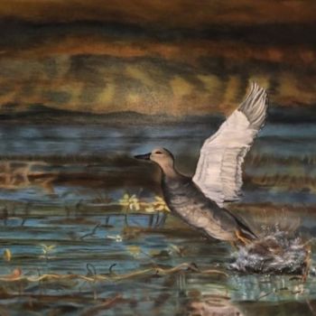 Painting titled "Envol d'un canard C…" by Andrea C, Original Artwork, Oil