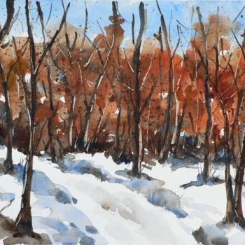 Pittura intitolato "Paesaggio invernale…" da Tito Fornasiero, Opera d'arte originale, Acquarello