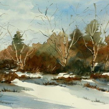 Pittura intitolato "Inverno al Parco de…" da Tito Fornasiero, Opera d'arte originale, Acquarello