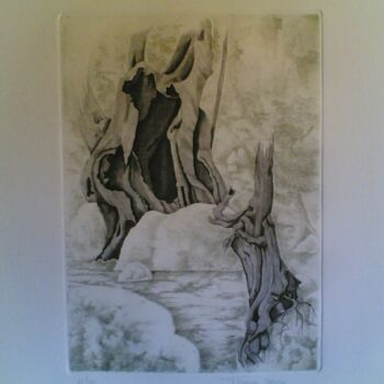Incisioni, stampe intitolato "Tronchi" da Tiziana Cipriani, Opera d'arte originale, Altro