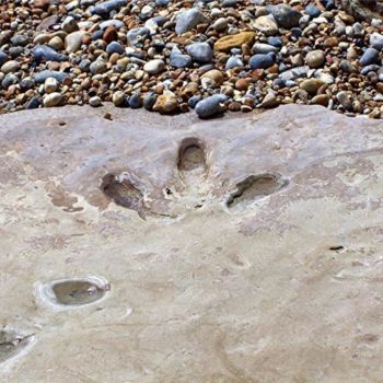 Photographie intitulée "Footprints In stone" par Mick Bean, Œuvre d'art originale