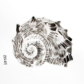 Drawing titled "Seashell Ink Art" by Tokkaido, Original Artwork, Ink