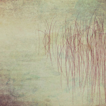Photography titled "Rusty Reeds" by Tom Reynen, Original Artwork