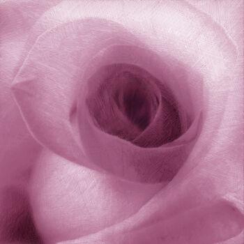 Digital Arts titled "Pink Rose" by Tony Rubino, Original Artwork, Digital Painting
