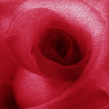 数字艺术 标题为“Red Rose Floral” 由Tony Rubino, 原创艺术品, 数字油画 安装在木质担架架上
