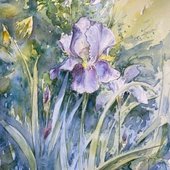 Painting titled "Iris au printemps" by Tony Szabo, Original Artwork, Watercolor