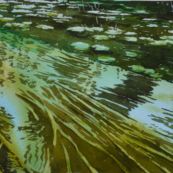 Pintura intitulada "Nenufares na ribeira" por Tozé Baião, Obras de arte originais, Aquarela