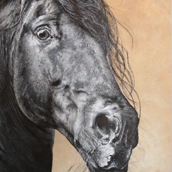 Peinture intitulée "Cheval" par Tracy De Sousa, Œuvre d'art originale, Acrylique