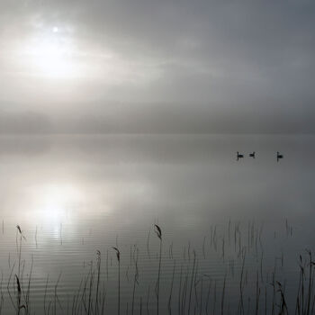 Fotografie getiteld "Misty morning 8" door Trank, Origineel Kunstwerk, Digitale fotografie