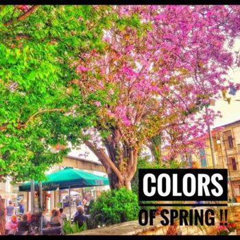 Fotografia zatytułowany „Colors Of Spring” autorstwa Manos Kastanakis, Oryginalna praca