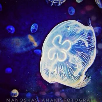 Fotografia intitolato "Jellyfish" da Manos Kastanakis, Opera d'arte originale, Fotografia manipolata
