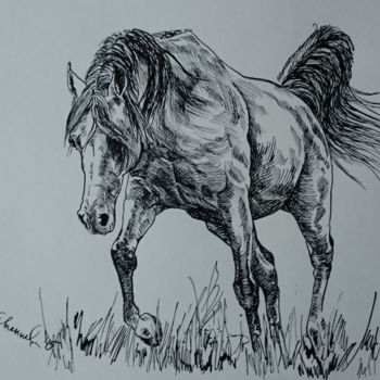Drawing titled "Horse 13" by Katerina Evgenieva, Original Artwork, Ink