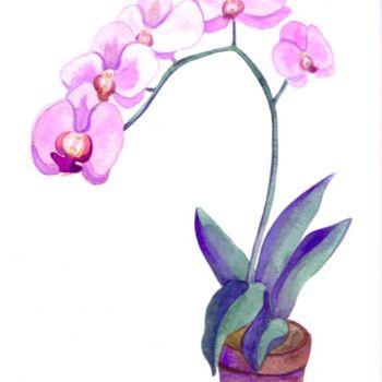Painting titled "Orchidée" by Troniou, Original Artwork, Oil