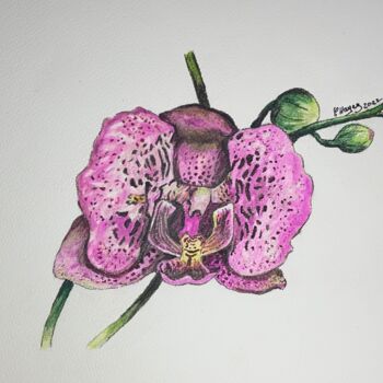 Drawing titled "Orchidée" by Christelle Hayez, Original Artwork, Watercolor