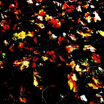Фотография под названием "Осенняя графика" - Наталья Трошина, Подлинное произведение искусства