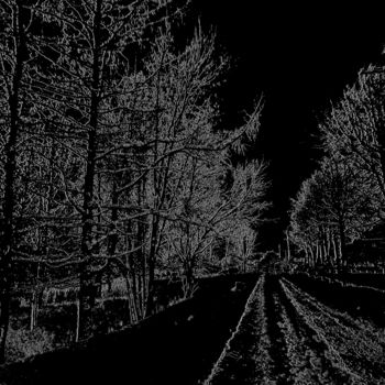 Φωτογραφία με τίτλο "Ночное видение пейз…" από Наталья Трошина, Αυθεντικά έργα τέχνης