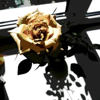 Фотография под названием "Роза у окна (при лу…" - Наталья Трошина, Подлинное произведение искусства