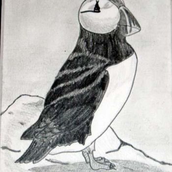 Drawing titled "Atlantic Puffin" by Twyla M. Schnare, Original Artwork