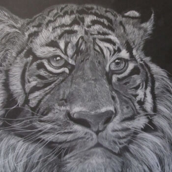 Dibujo titulada "Tiger" por Txuscuende, Obra de arte original, Pastel