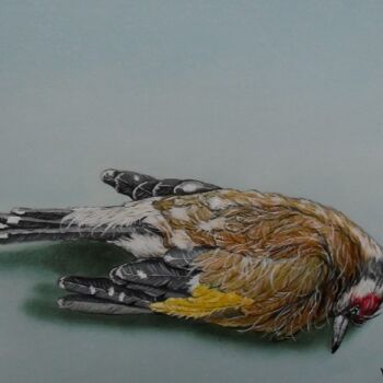 Malerei mit dem Titel "Little bird lying" von Uko Post, Original-Kunstwerk, Öl