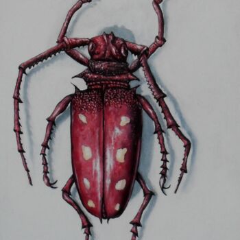 Schilderij getiteld "Red Beetle" door Uko Post, Origineel Kunstwerk, Olie