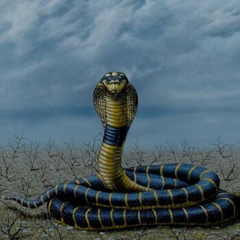 Painting titled "Cobra" by Uko Post, Original Artwork, Oil