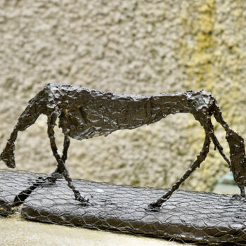 Sculpture titled "Interprétation de l…" by Ulrich Ernst Nievergelt, Original Artwork, Wire