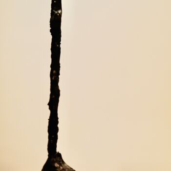 Escultura titulada "le nez / die Nase /…" por Ulrich Ernst Nievergelt, Obra de arte original, Arcilla