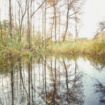 Fotografie mit dem Titel "Naturstück 8" von Ulrich Kaiser, Original-Kunstwerk, Digitale Fotografie