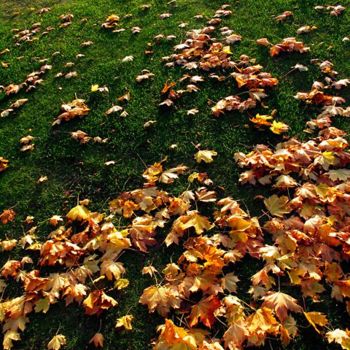 Photographie intitulée "Canadian Autumn" par Umberto Pato, Œuvre d'art originale