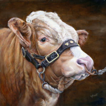Painting titled "Simmental bull" by Una Hurst, Original Artwork, Oil
