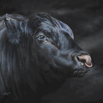 Painting titled "Aberdeen Angus show…" by Una Hurst, Original Artwork, Oil