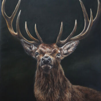 Painting titled "Stag, red deer stag…" by Una Hurst, Original Artwork, Oil