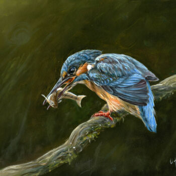 Malarstwo zatytułowany „Kingfisher” autorstwa Una Hurst, Oryginalna praca, Olej Zamontowany na Inny sztywny panel