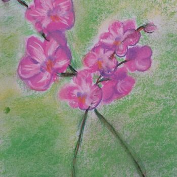 Dessin intitulée "Orchidea" par Urszula Elżbieta Owsiana (qulia), Œuvre d'art originale, Pastel