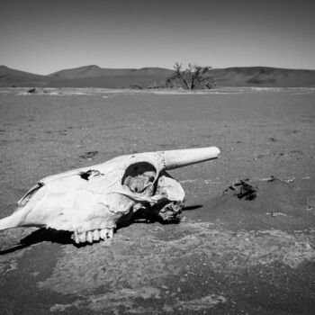 Photographie intitulée "Namib Desert-0823-SW" par Uwe Bauch, Œuvre d'art originale, Photographie numérique