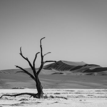 Photography titled "Namib Desert-0703-SW" by Uwe Bauch, Original Artwork, Digital Photography