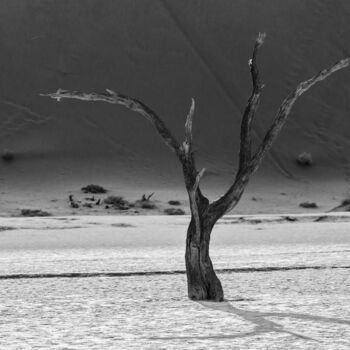 Photographie intitulée "Namib Desert-0598-SW" par Uwe Bauch, Œuvre d'art originale, Photographie numérique