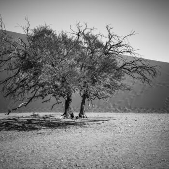 Fotografia zatytułowany „Namib Desert-0912-SW” autorstwa Uwe Bauch, Oryginalna praca, Fotografia cyfrowa