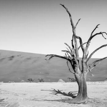 Fotografía titulada "Namib Desert-0715-SW" por Uwe Bauch, Obra de arte original, Fotografía digital