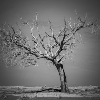 Photographie intitulée "Namib Desert-0950-SW" par Uwe Bauch, Œuvre d'art originale, Photographie numérique