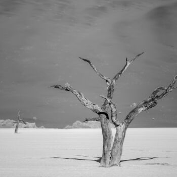 Fotografie getiteld "Namib Desert-0595-SW" door Uwe Bauch, Origineel Kunstwerk, Digitale fotografie