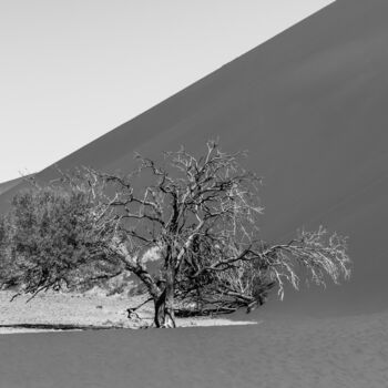 「Namib Desert-0983-SW」というタイトルの写真撮影 Uwe Bauchによって, オリジナルのアートワーク, デジタル
