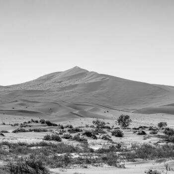 Fotografia zatytułowany „Namib Desert-0855-SW” autorstwa Uwe Bauch, Oryginalna praca, Fotografia cyfrowa