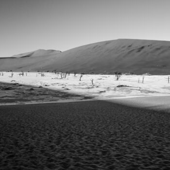 제목이 "Namib Desert-0569-SW"인 사진 Uwe Bauch로, 원작, 디지털