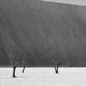 Fotografie getiteld "Namib Desert-0672-SW" door Uwe Bauch, Origineel Kunstwerk, Digitale fotografie