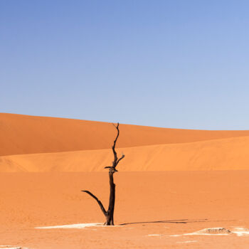 Photography titled "Namib Desert-0767" by Uwe Bauch, Original Artwork, Digital Photography