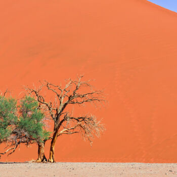 "Namib Desert-0920" başlıklı Fotoğraf Uwe Bauch tarafından, Orijinal sanat, Dijital Fotoğrafçılık