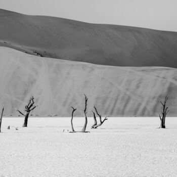 Fotografia zatytułowany „Namib Desert-0668-SW” autorstwa Uwe Bauch, Oryginalna praca, Fotografia cyfrowa